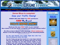 TrueBlue Traffic